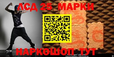 дмт Краснодар