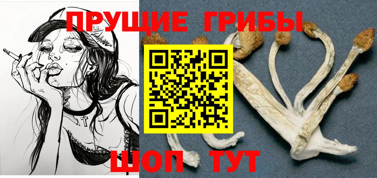 Псилоцибиновые грибы Cubensis  Вход с VPN  Кандалакша 