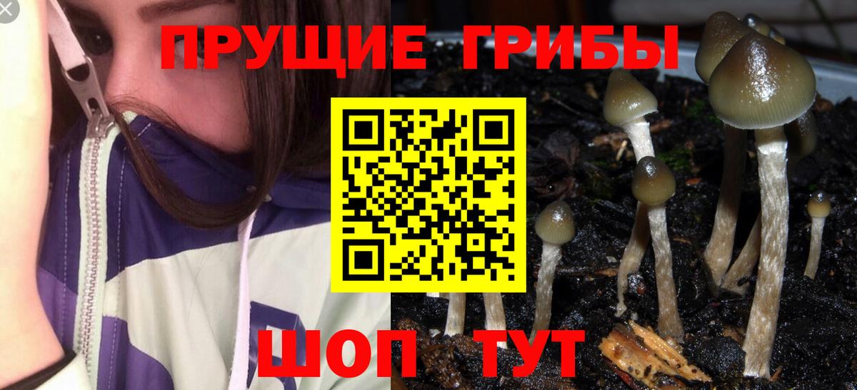 MDMA Кандалакша